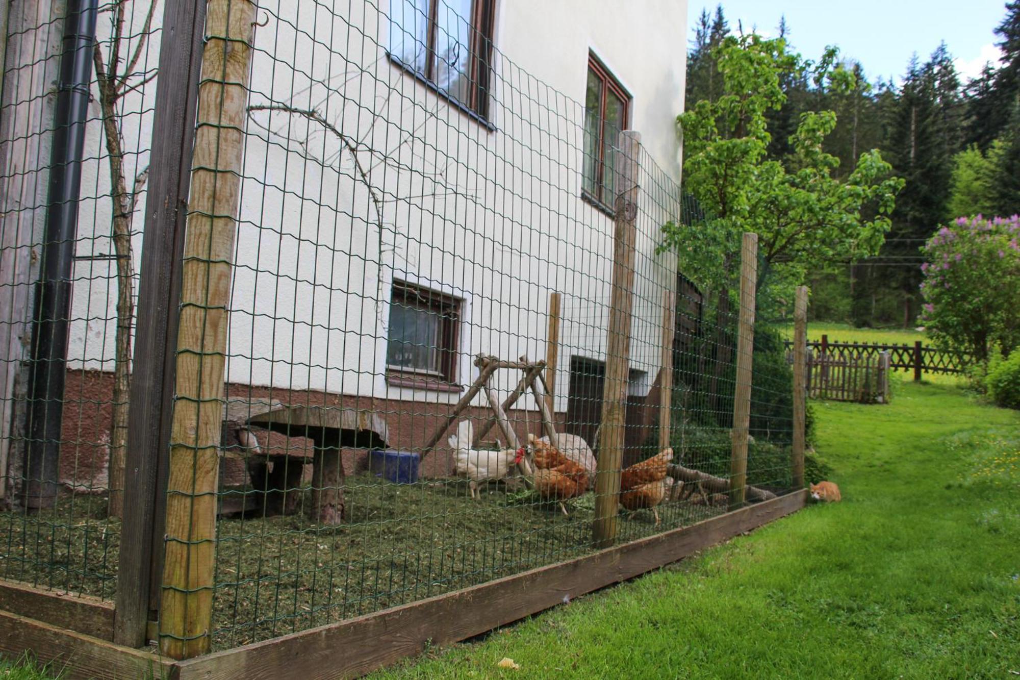 Frieda'S Platzl Lägenhet Abtenau Exteriör bild
